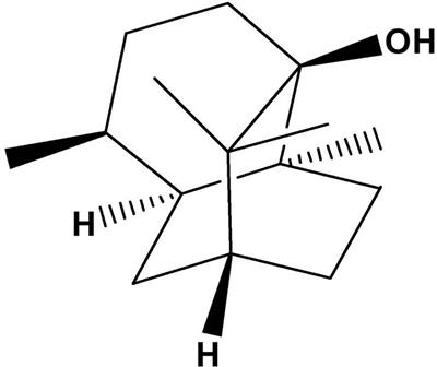 Unraveling the Novel Effect of Patchouli Alcohol Against the Antibiotic Resistance of Helicobacter pylori